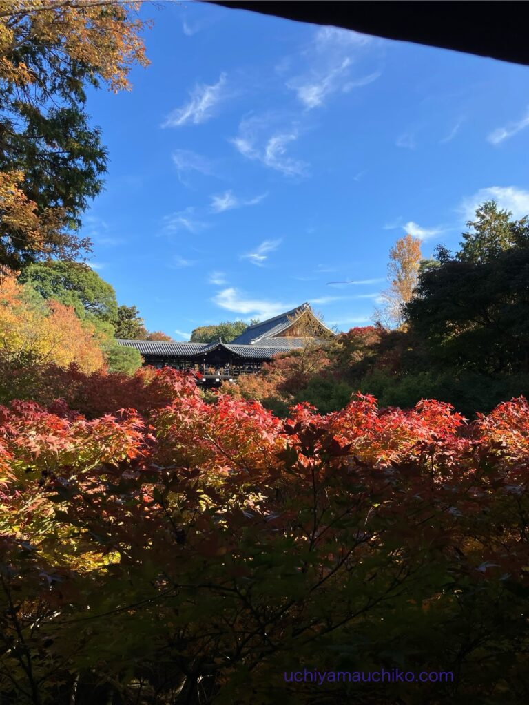 紅葉と奥にある瓦屋根の木造建築
