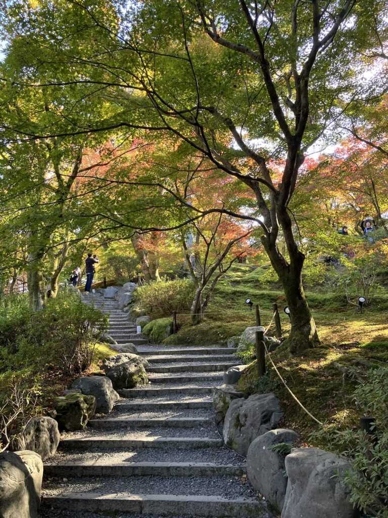 階段とその周囲に植えられた紅葉