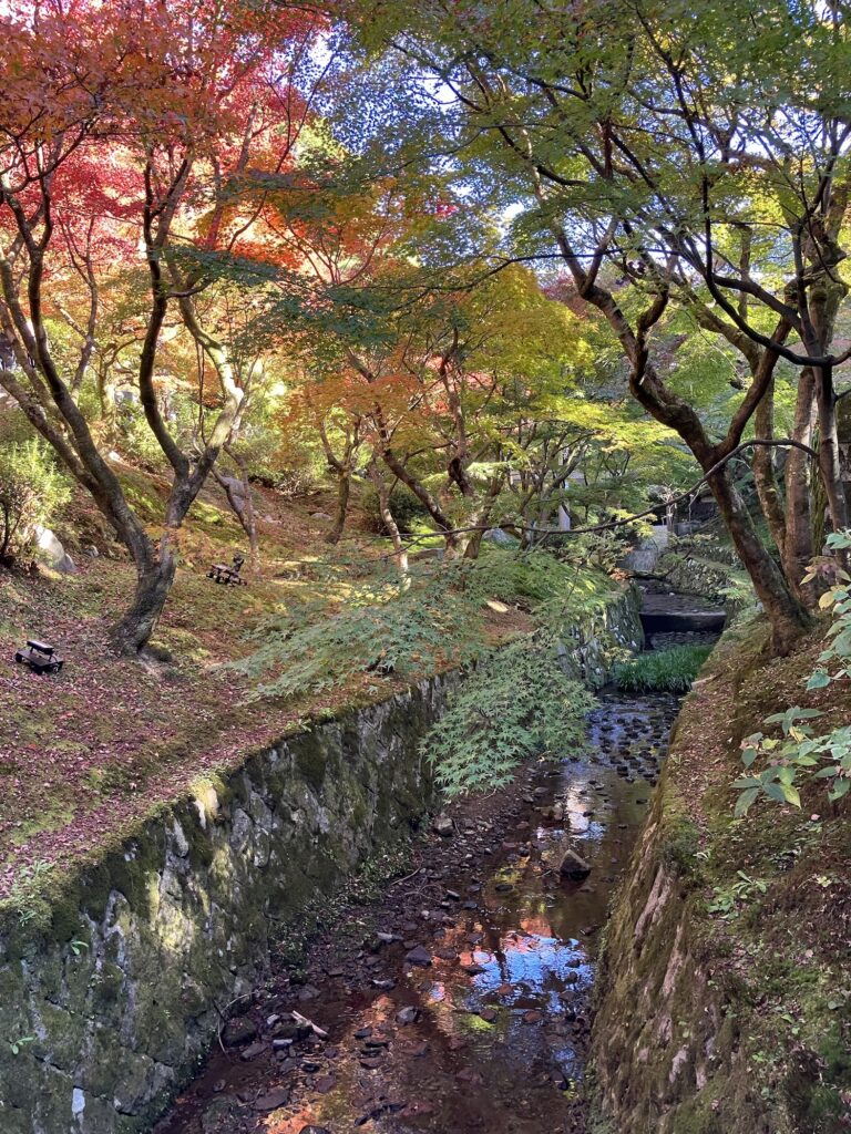 水路とその左右に広がる紅葉