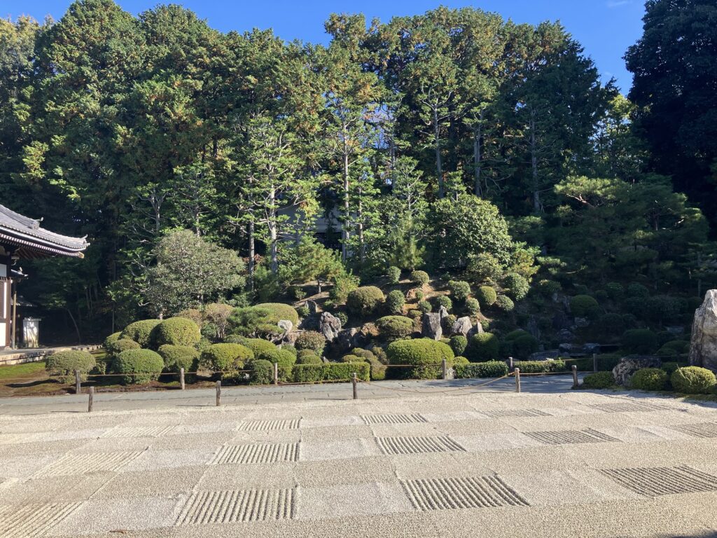 砂の庭と奥に緑の木々