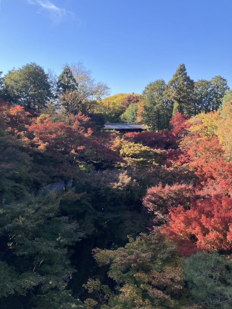 赤と緑の紅葉と奥に見える屋根