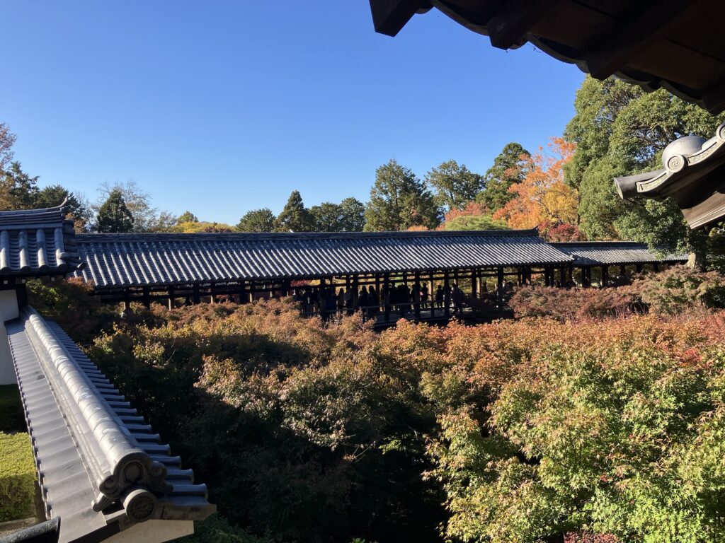 紅葉とその奥にある屋根付きの橋